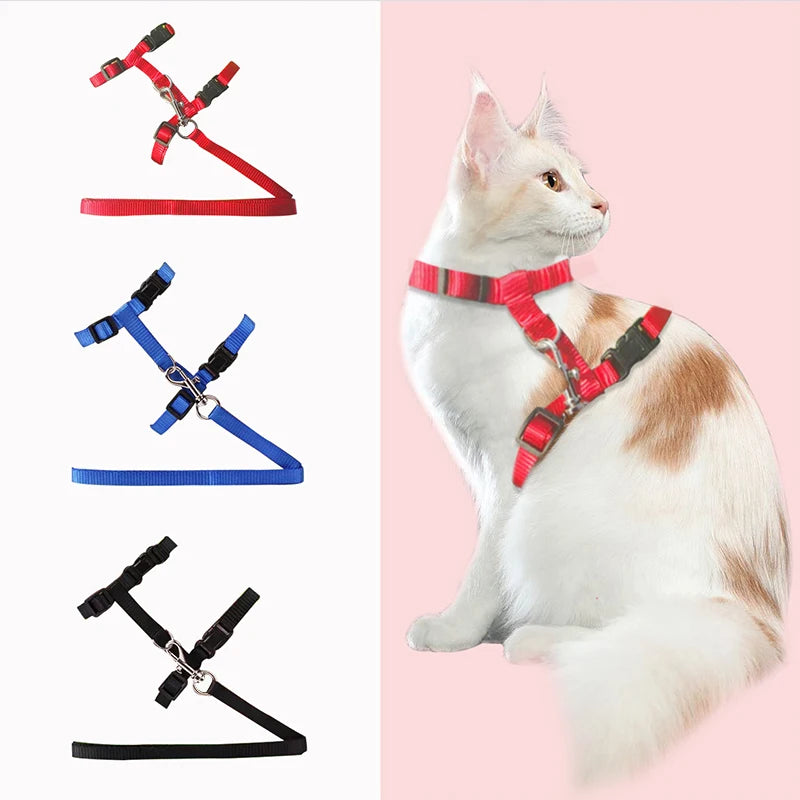 Cat Collar Harness Leash