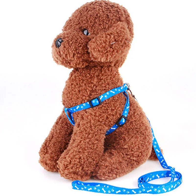 Cat Collar Harness Leash