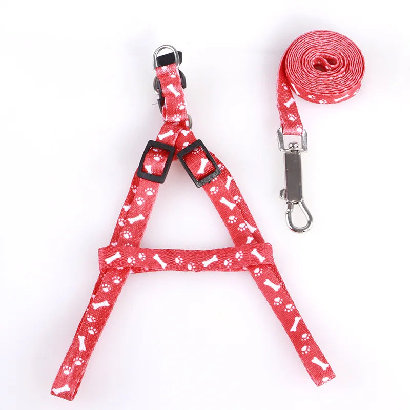 Cat Collar Harness Leash