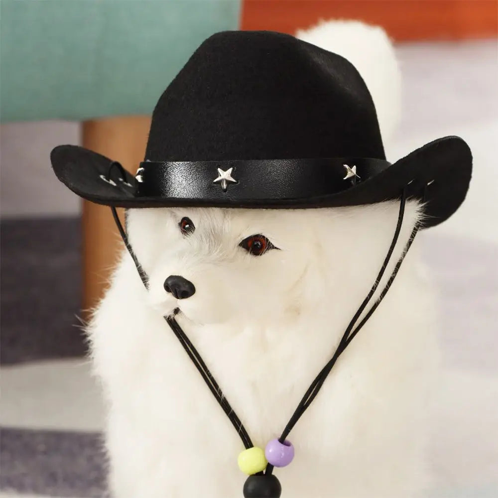 Dog Hat Cowboy Hats